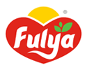 Fulya